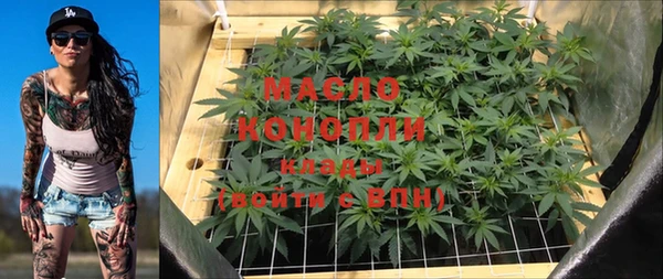 метадон Инта